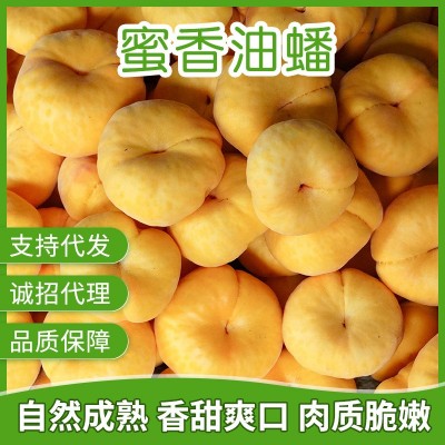 果园直发新鲜现摘金秋红蜜桃 批发代发黄金蟠桃 诚招代理图1