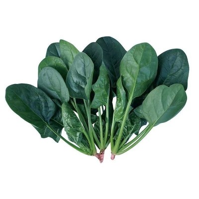 菠菜种孑高产蔬菜种子四季农家耐寒耐热大小叶青菜种籽菠菜种子图5