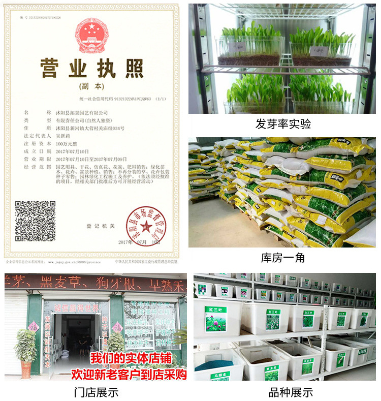 为生活增添色彩