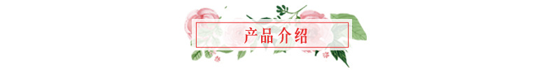 产品介绍