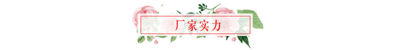 厂家实力