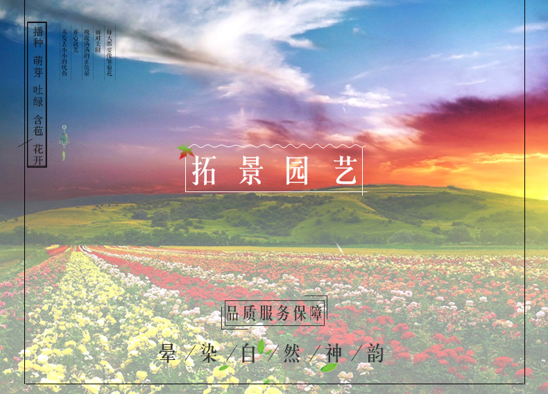 情景图