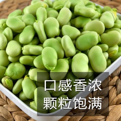 本地高产特大粒蚕豆种子阳台蔬菜种孑子种植菜种籽大全四季图5