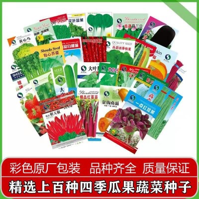 四季蔬菜种子厂家直销菜种子大量批发地摊上海青小葱香菜生菜籽图4