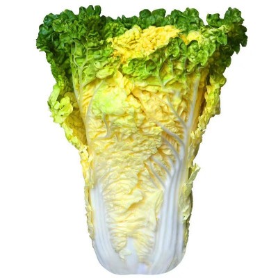 厂家直销秋冬四季白菜萝卜种子批发地摊菜籽批发芥菜种子蔬菜种子图5