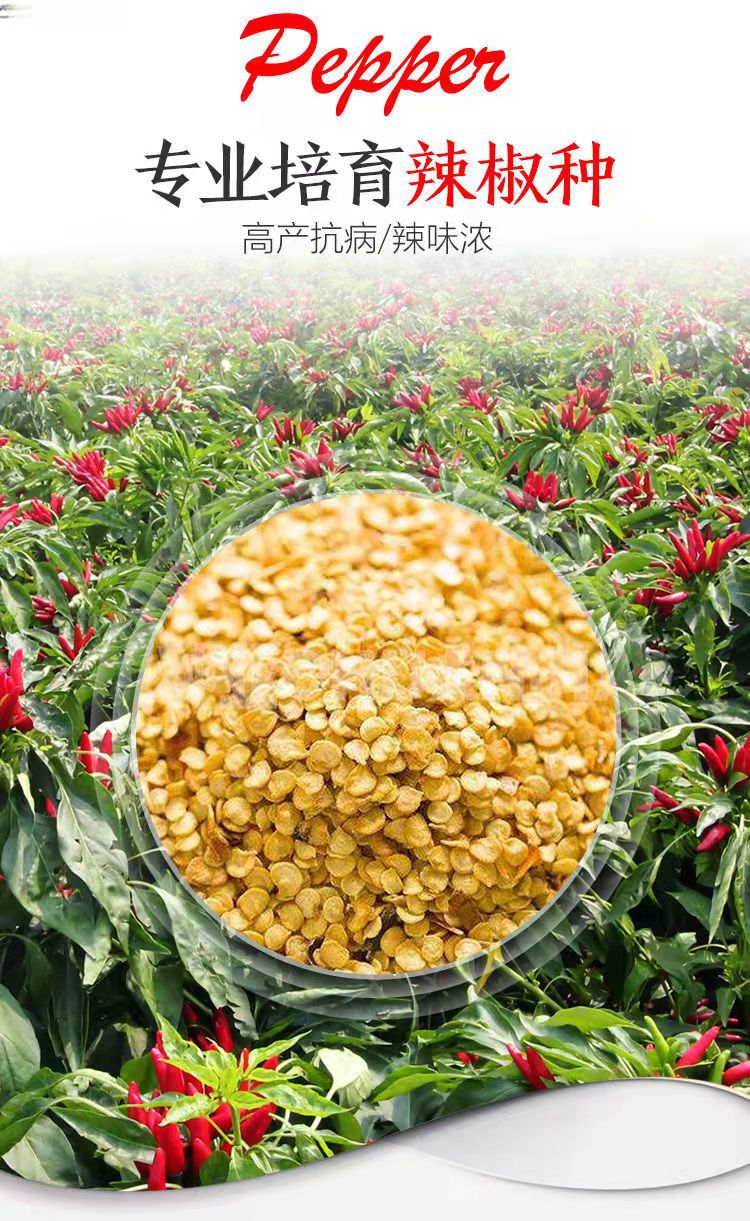 微信图片_20211129113429