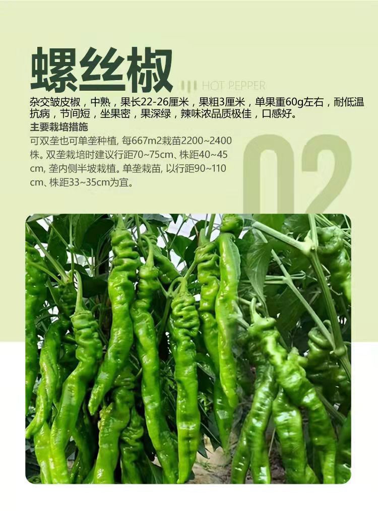 微信图片_20211129113500