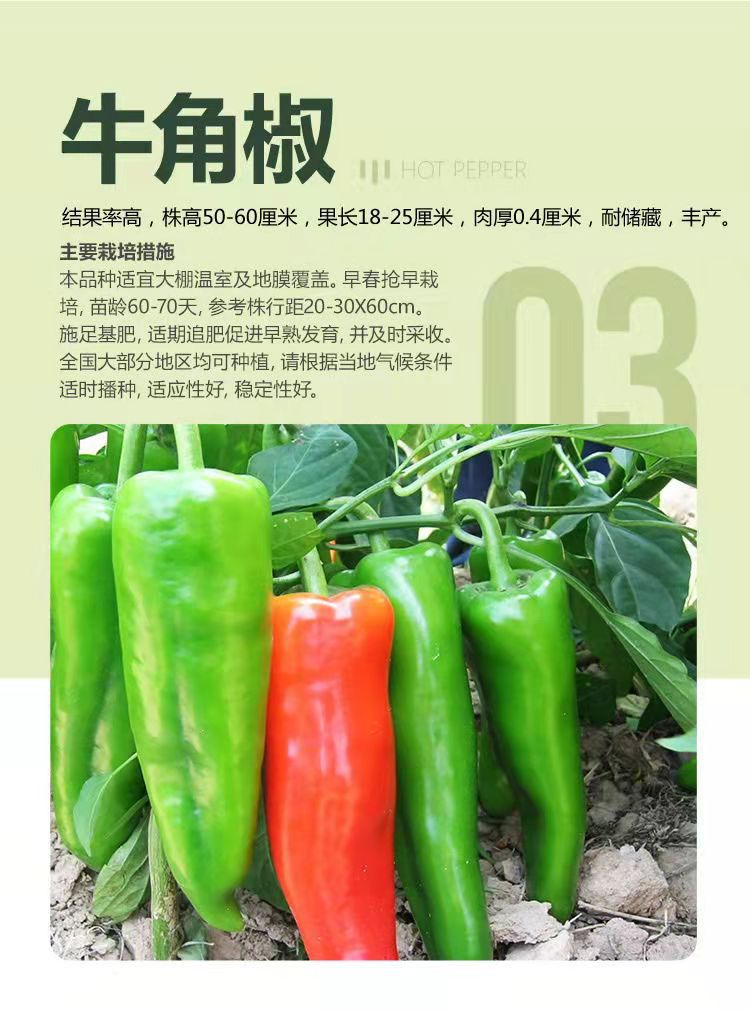 微信图片_20211129113506