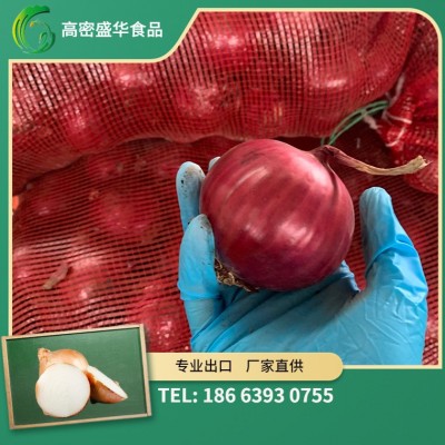 2022 小红葱 5-8CM 甘肃产地 出口东南亚 厂家直供 备案种植基地