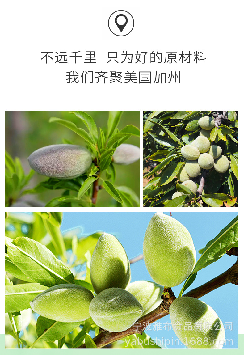 巴旦木仁