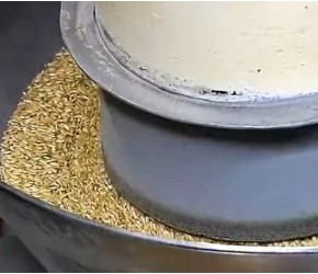 探访大米加工厂，揭秘大米加工的全过程