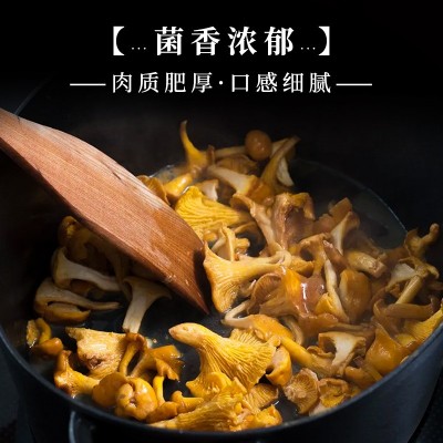 鸡油菌源头基地直供云南特产食用菌黄丝菌煲汤榆黄菇干货蘑菇批发图2