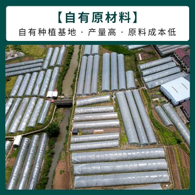 鸡油菌源头基地直供云南特产食用菌黄丝菌煲汤榆黄菇干货蘑菇批发图4