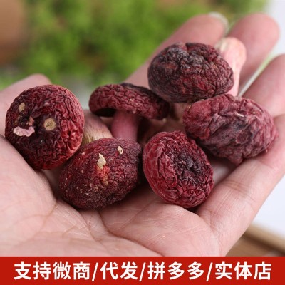 红菇菌 云南特产菌菇干货煲汤食材产地货源 批发代发500g 红蘑菇图3