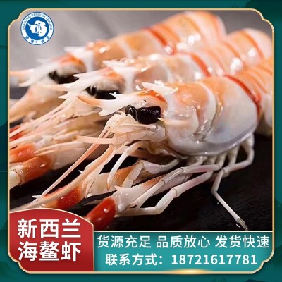新西兰海鳌虾 新鲜海鳌虾刺身 海捕鳌虾甜虾海鲜水产日料批发图2