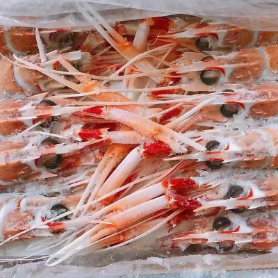 新西兰海鳌虾 新鲜海鳌虾刺身 海捕鳌虾甜虾海鲜水产日料批发图4