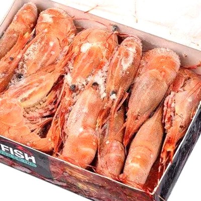 厂家供应加拿大牡丹虾 餐饮生鲜冷冻水产品冷冻虾类 鲜活冷冻海鲜图3