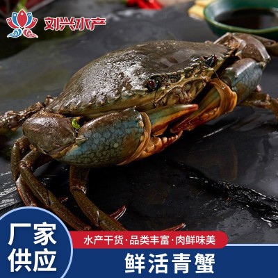刘兴水产供应 鲜活青蟹现货 活膏蟹商用 新鲜海螃蟹批发