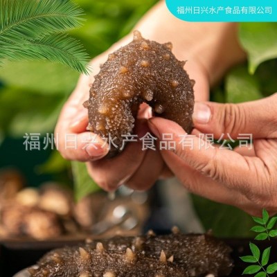 江船长锁鲜高压冷冻海参500g8粒装深海刺参方便烹饪批发厂家直销图3