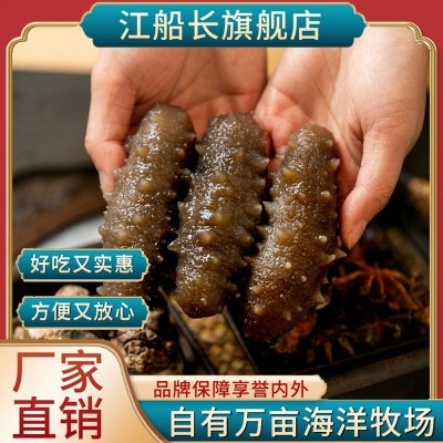 江船长锁鲜高压冷冻海参500g8粒装深海刺参方便烹饪批发厂家直销