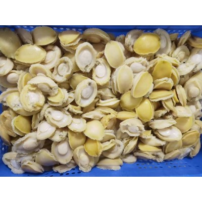 鲍鱼黄金鲍肉图2
