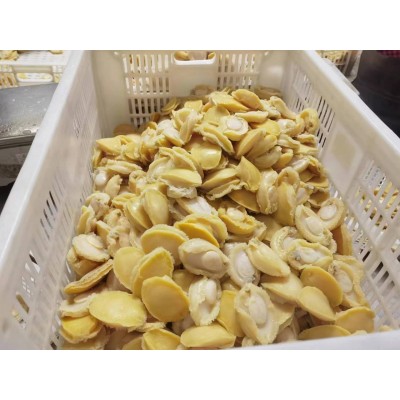 鲍鱼黄金鲍肉