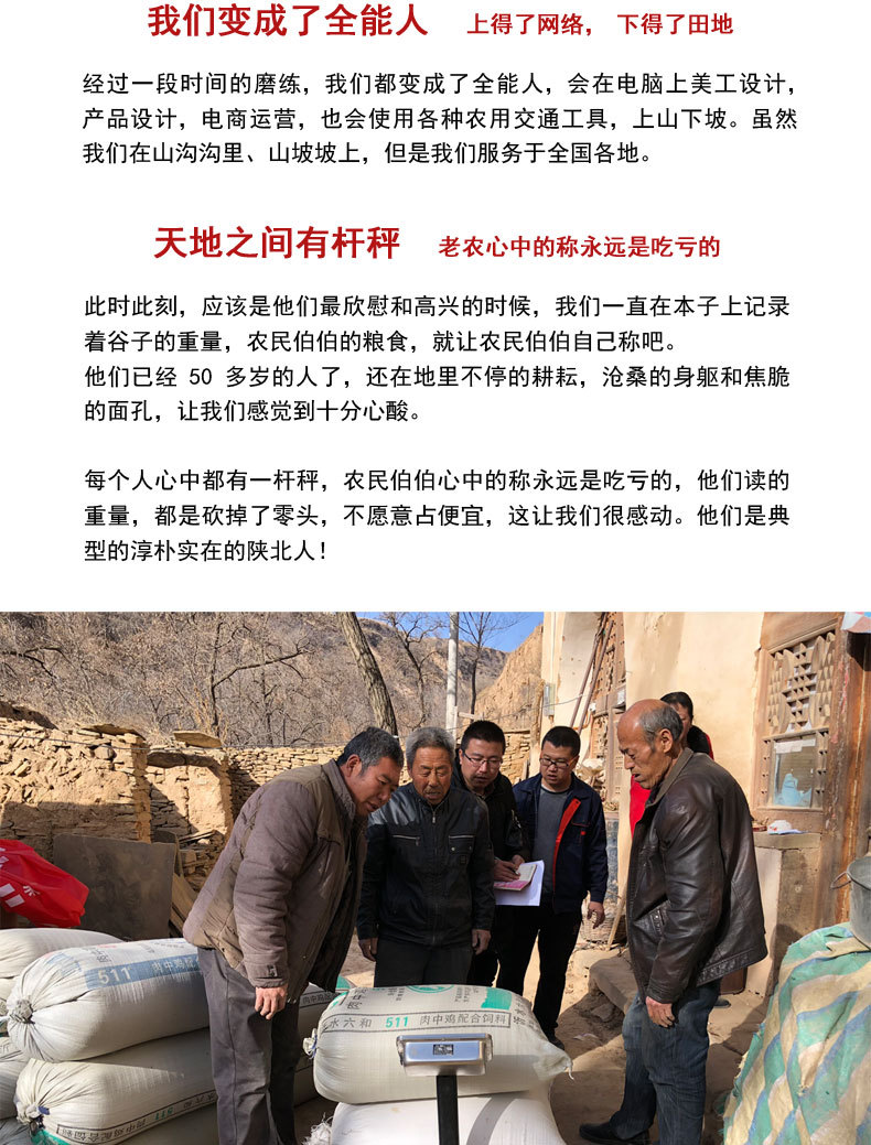 2020年新版详情页3_08.jpg