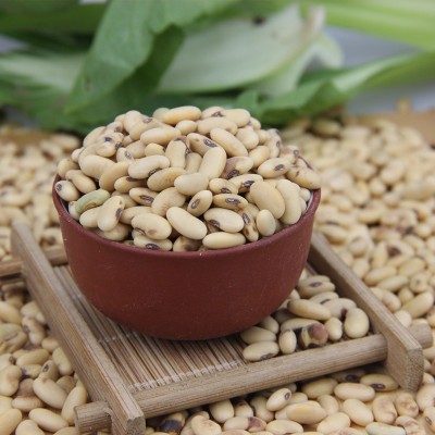 陕北老黄豆500g*5八宝粥原料现磨豆浆五谷杂粮烘焙原料图4