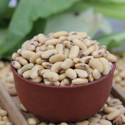 陕北老黄豆500g*5八宝粥原料现磨豆浆五谷杂粮烘焙原料图5