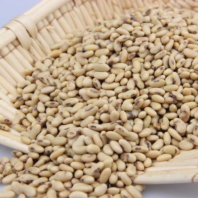 陕北老黄豆500g*5八宝粥原料现磨豆浆五谷杂粮烘焙原料图3