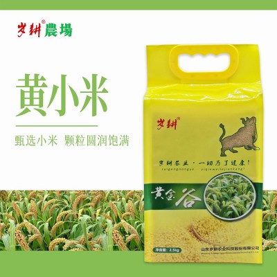 岁耕黄小米5斤袋装 内蒙古赤峰当季新米 宝宝月子米五谷杂粮代发