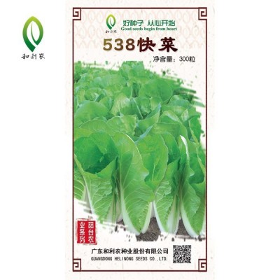 和利农四季快菜种子小白菜菜籽耐热速生快菜种孑阳台蔬菜籽种图4