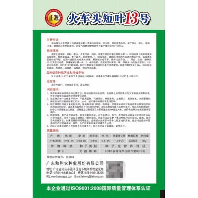 和利农正源火车头短叶13号白萝卜种子夏秋耐热品种批发蔬菜种子图5