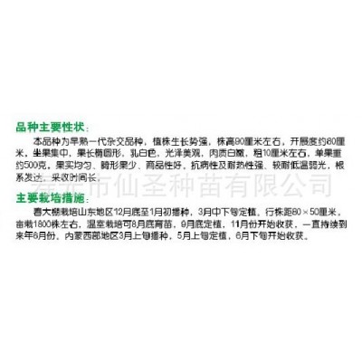 批发圆茄种子 寿光白冠圆茄种子 10克装茄子种苗 约2000粒图3