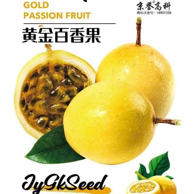 黄金百香果种子四季蔬菜水果种籽农家家庭阳台盆栽小院植物