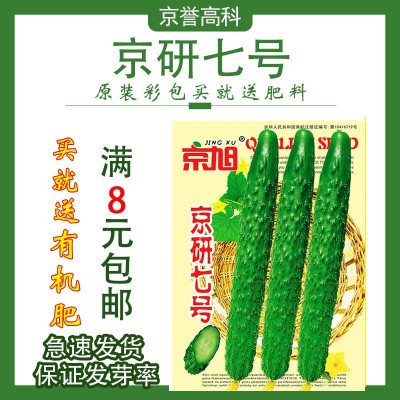 京研七号黄瓜种子四季蔬菜种籽家庭园艺盆栽小院种孑易成活好管理