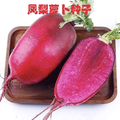 凤梨水果萝卜口感甘甜多汁美味耐储存产量高懒汉无货源一件代发