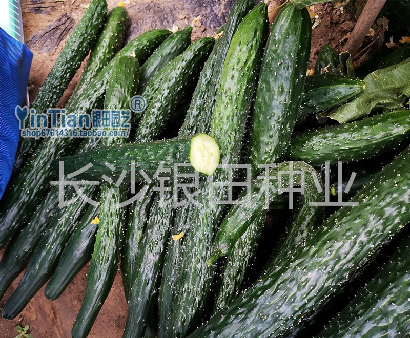 微信图片_20200328104602
