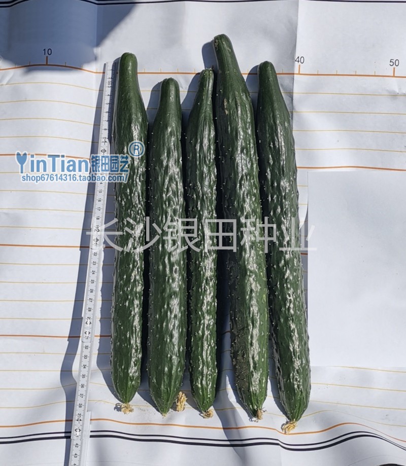 微信图片_20200328104605