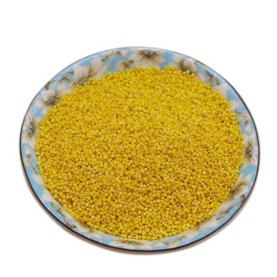 内蒙古农家特产小米 小黄米新上市能熬出米油500g 煮小米粥图5