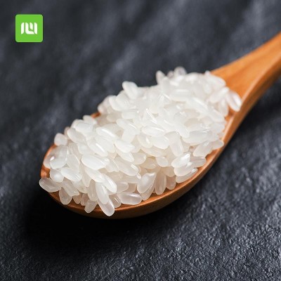 新米东北五常大米稻花长粒香2.5kg5斤10斤大米厂家批发代发图3