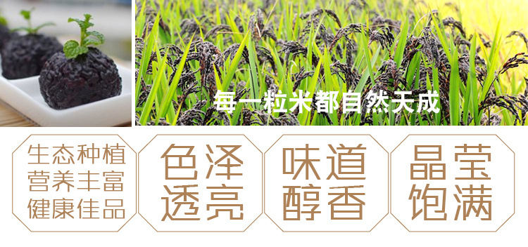 黑米_10