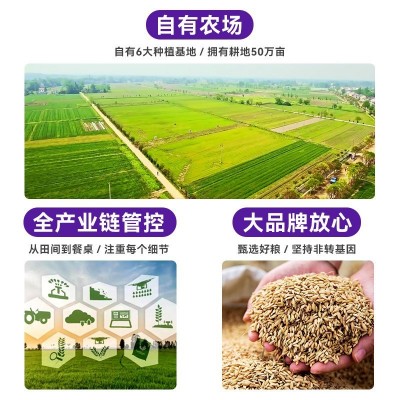 徽粮坊玉米糁 碎玉米五谷杂粮真空包装玉米渣子 新货黄玉米渣批发图4
