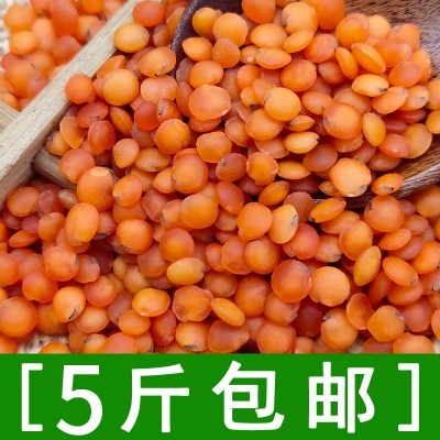 土耳其红小扁豆 马粟豆红莲奴豆五谷杂粮500克可批发图2