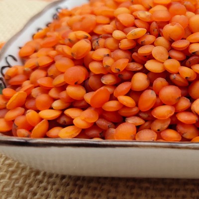 土耳其红小扁豆 马粟豆红莲奴豆五谷杂粮500克可批发图4