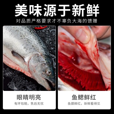 新鲜三文鱼新鲜中段一整条现切去刺身背肉生鱼片冰鲜鲑鱼海鲜包邮图2