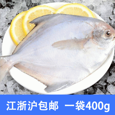 宁波象山东海新鲜白鲳鱼冰冻水产小鲳鱼 100-120规格 水产批发图2