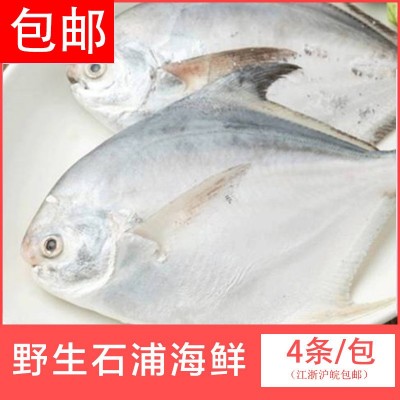 工厂直供可代发 宁波象山东海新鲜白鲳鱼冰冻水产小鲳鱼40/60规格