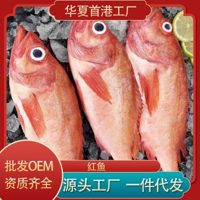 大连红鱼批发红石斑鱼鲜活冷冻深海鱼富贵鱼长寿鱼龙胆石班鱼海鲜