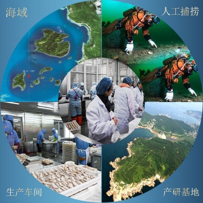大连红鱼批发红石斑鱼鲜活冷冻深海鱼富贵鱼长寿鱼龙胆石班鱼海鲜图4